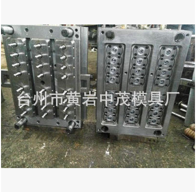 一出二十四瓶坯模具